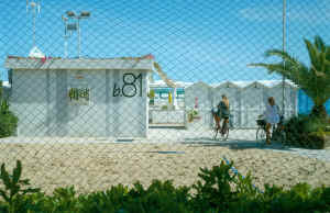 Dallacasagrande 6_ridimensiona.jpg (528346 byte)