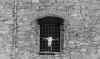 Ciappi 1.jpg (493851 byte)