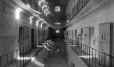 Ciappi 2.jpg (361825 byte)