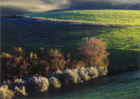 Autunno in Lessinia 1.jpg (280180 byte)