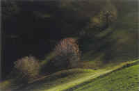 Autunno in Lessinia 3.jpg (218439 byte)