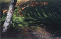 Autunno in Lessinia 6.jpg (238835 byte)
