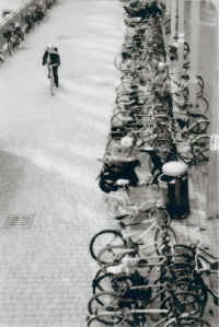 1.jpg (111709 byte)
