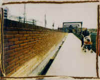 Un viaggio nel quartiere 5.jpg (126309 byte)