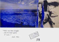 Memorie di natura fluttuante 2.jpg (168456 byte)