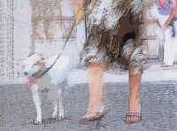 6.jpg (389939 byte)