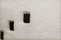 Foto 7.jpg (132936 byte)