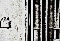 Foto 2.jpg (225602 byte)