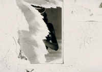 Foto 5.jpg (141422 byte)
