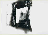 Foto 6.jpg (121520 byte)