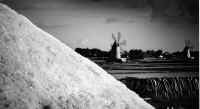 1 saline e mulini.jpg (123123 byte)
