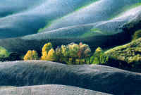 7 November in Toscana.jpg (378573 byte)