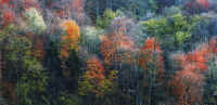 8 A moment.jpg (344614 byte)