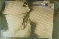 Foto 2.jpg (158590 byte)