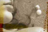 Foto 4.jpg (106109 byte)