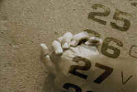 Foto 6.jpg (182101 byte)
