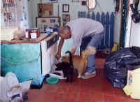 File0005.jpg (166047 byte)