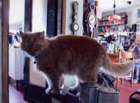 File0008.jpg (142081 byte)
