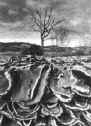 Vannozzi_4.JPG (18978 byte)