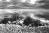 Vannozzi_7.JPG (23119 byte)